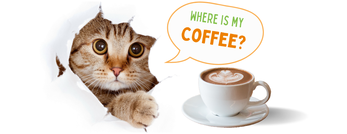 Coffee with Cats